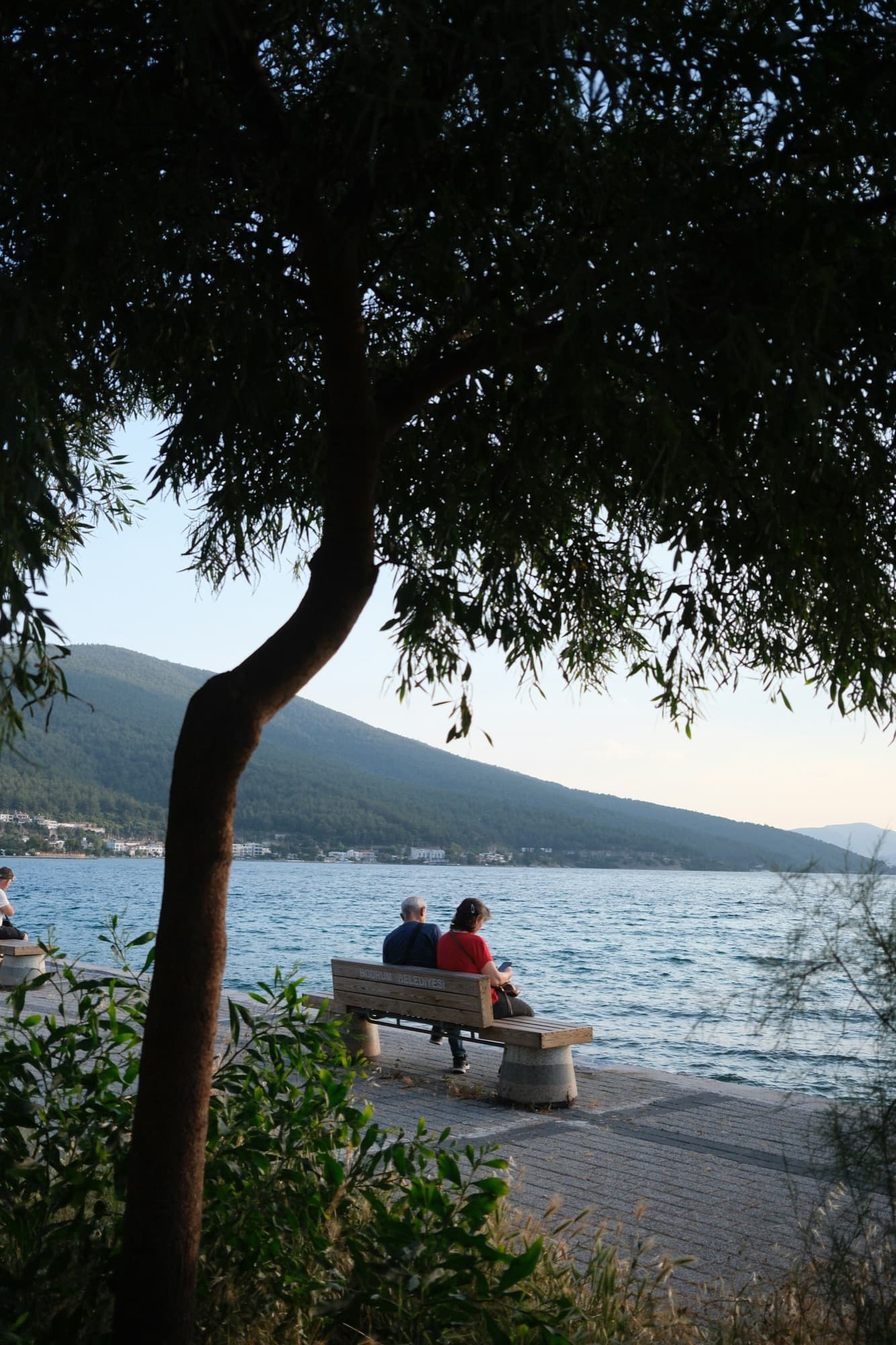 Two people sit on a bench by a lake, under the branches of a tree