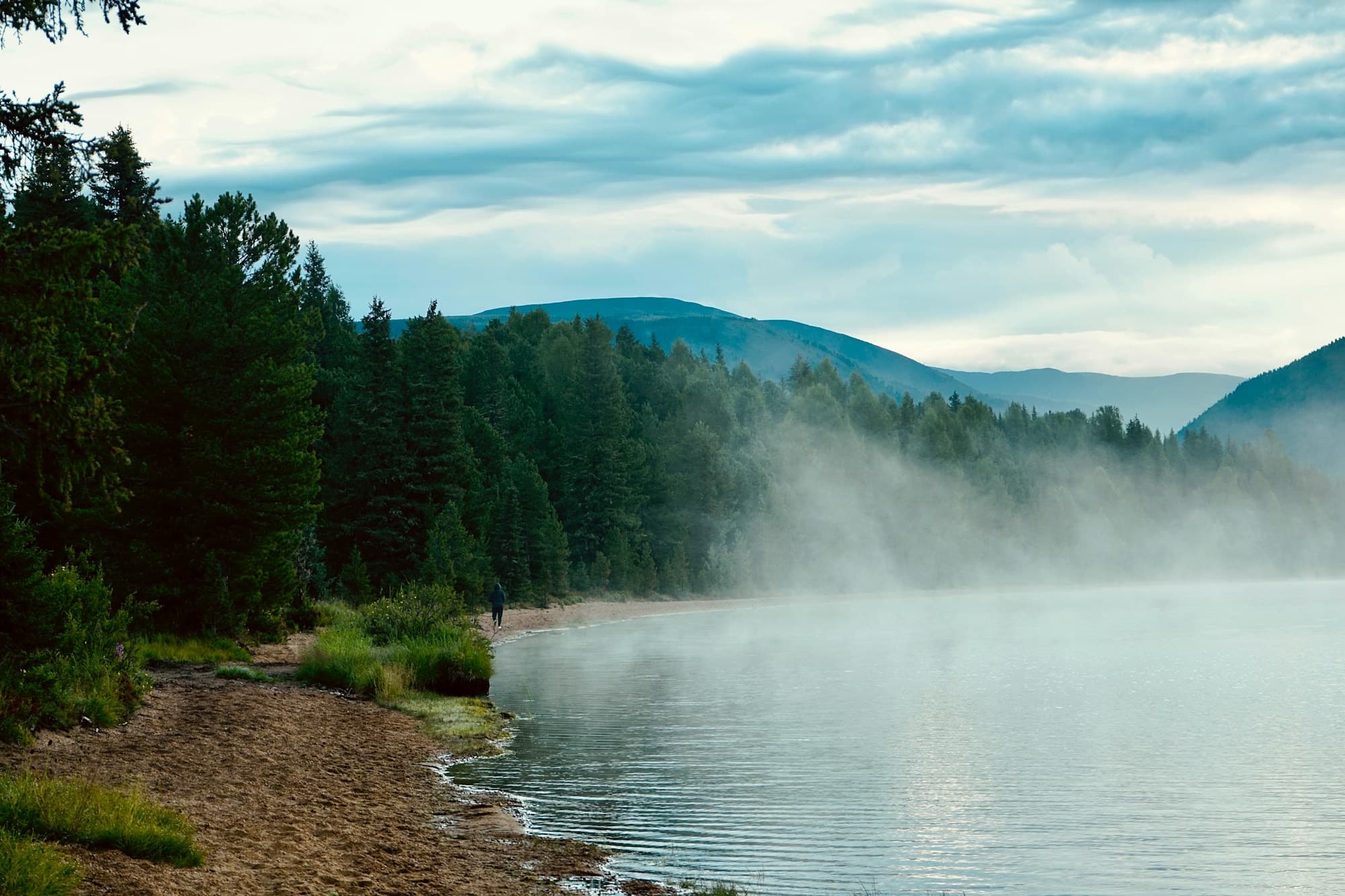 Mist rising off a still lake surrounded by pine forest