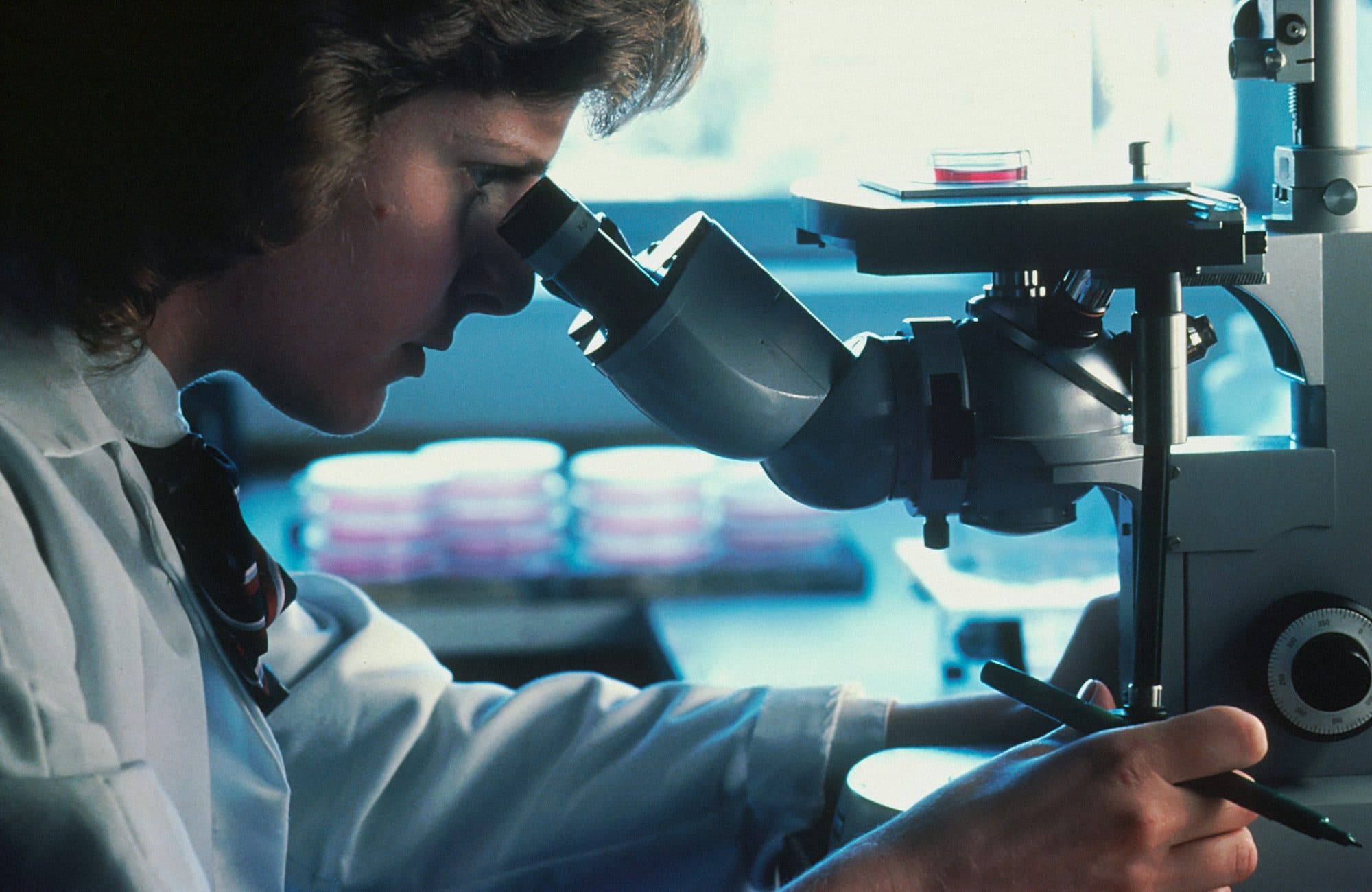 A scientist in a lab coat looks through a microscope at cell cultures